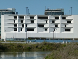p2010025