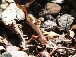 p1090730
