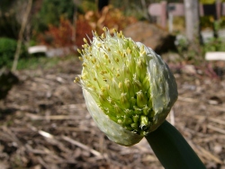 p1090736