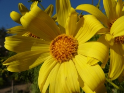 p1090768