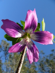 p1090770r
