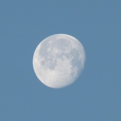 p2320546c