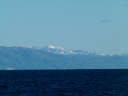 p2350199n