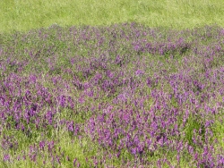 p1050476