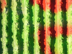 p1340628