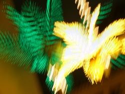 p1070252