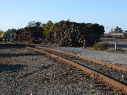 p1080693