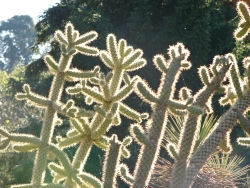 p1150565