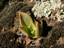 p1150566