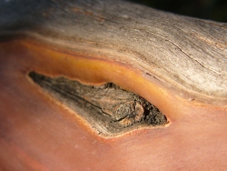 p1150571