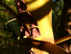 p1150585