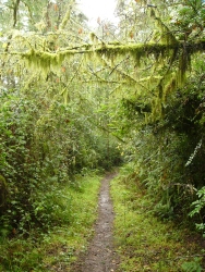 p1270474r