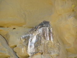 p1280436