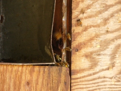 p1210395