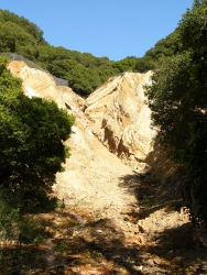 p1210410r