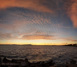 pano20210803032420835