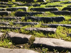p1160499