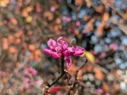 pxl20260201194100440