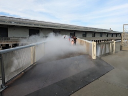 pxl20260202000521145