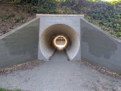 pxl20260203221734169