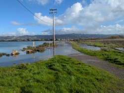 pxl20260103200026943