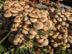 pxl20260103211727607