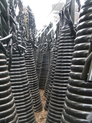 p2330059r