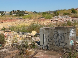 p1110053