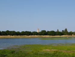 p1210864