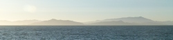 p2310757c