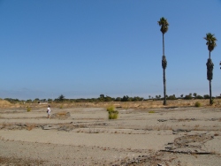 p1130388