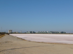 p1130451