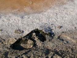 p1130459
