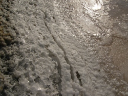 p1130462