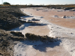 p1130463