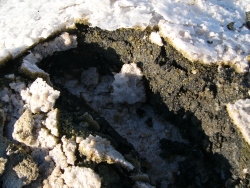 p1130464