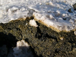 p1130465