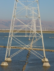 p1130474r