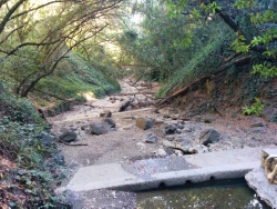 previous