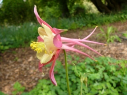 p1170550