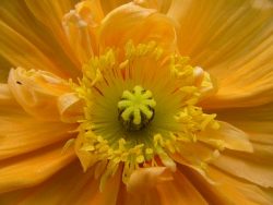 p1170557