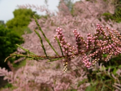 p1170566