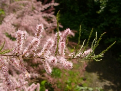 p1170567