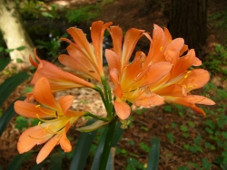 p1170579