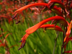 p1170586