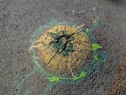 pxl20260404162043581