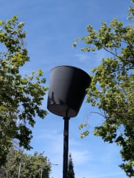 pxl20260404193621253