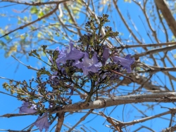 pxl20260405201918222