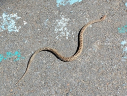 pxl20260407220251021c