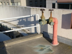 p1060904
